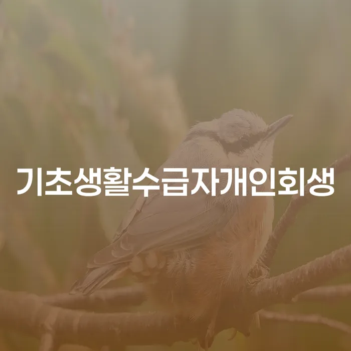 개인회생기간 개인회생 제도 해결하기