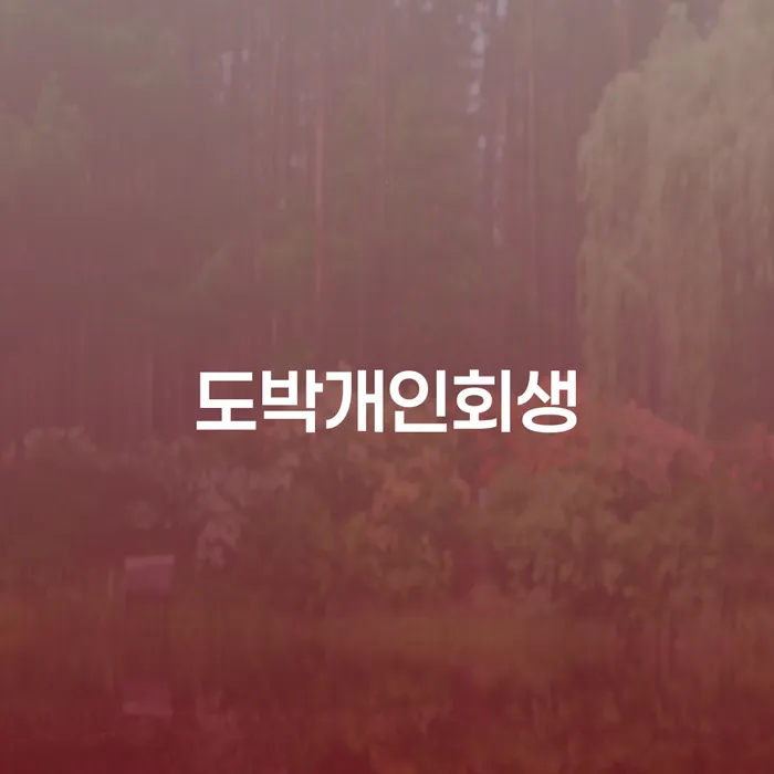 개인회생 법무사 비용 무이자 자체 분납 가능하고 빚 해결할 잘 하는 변호사