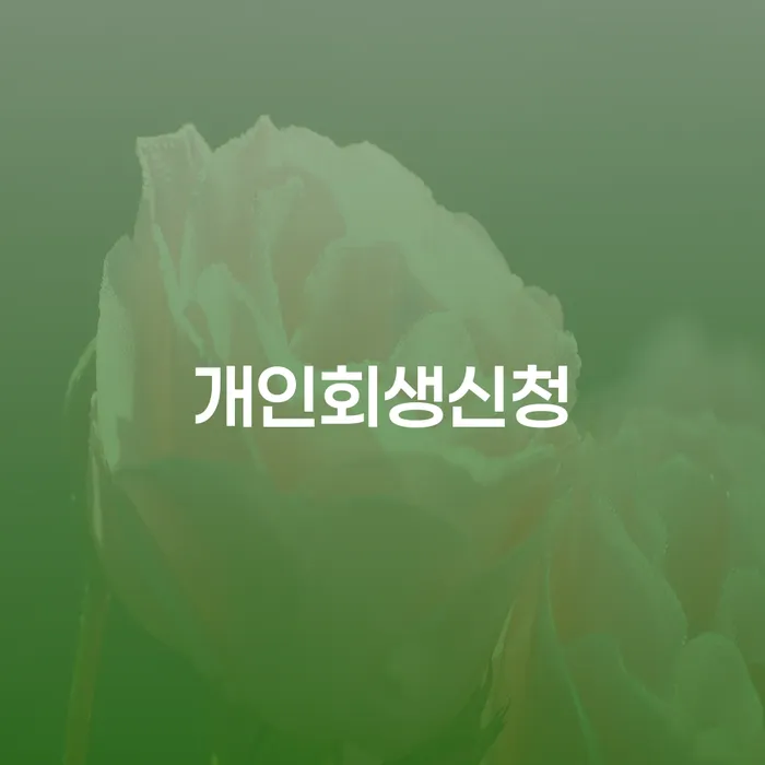 개인회생법무사비용 대출 받은 돈채무조정 잘하는 사무소