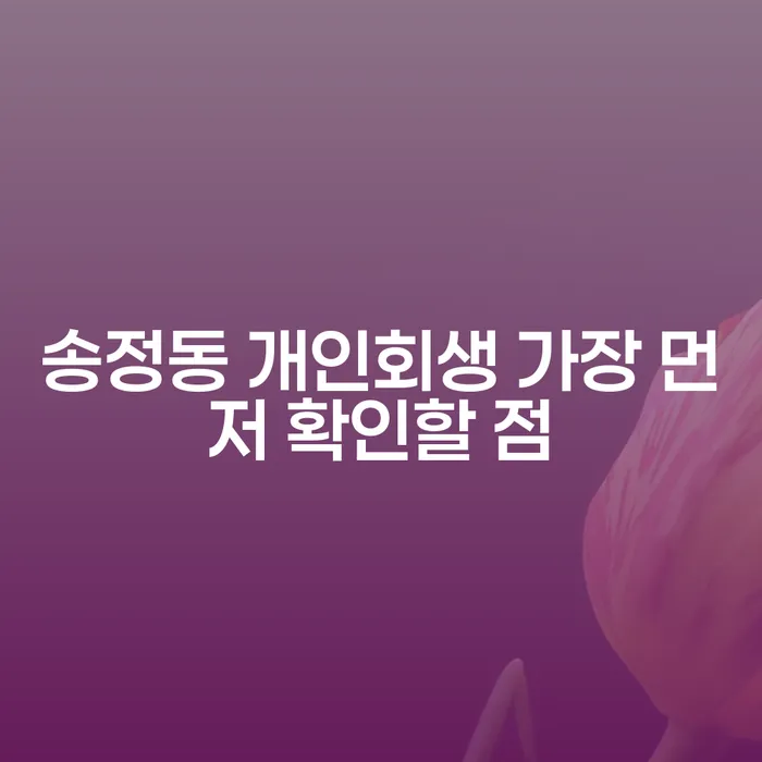 송정동 개인회생 가장 먼저 확인할 점