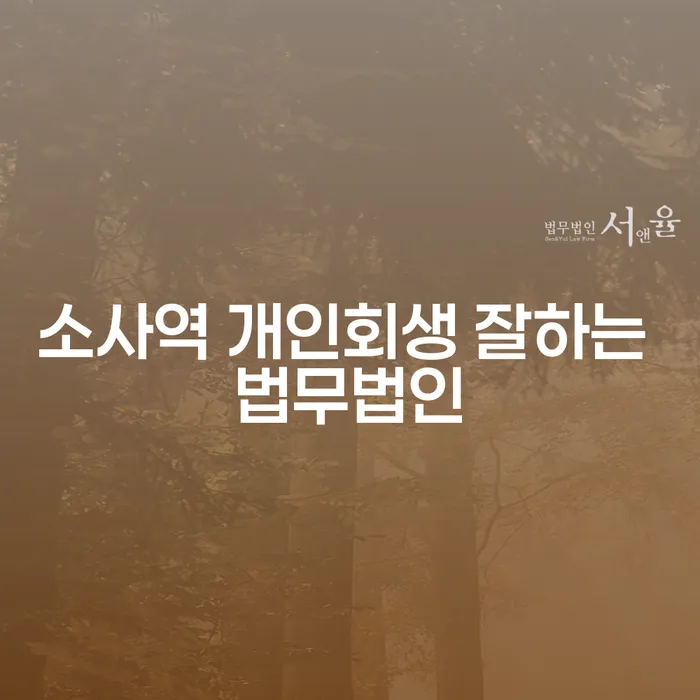 소사역 개인회생 잘하는 법무법인