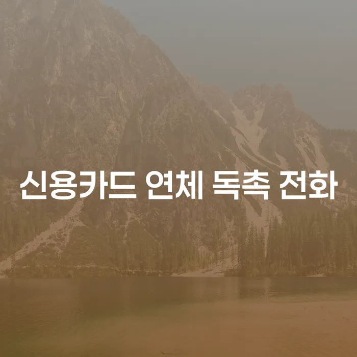 신용카드 연체 독촉 전화, 어떻게 대처해야 할까요?