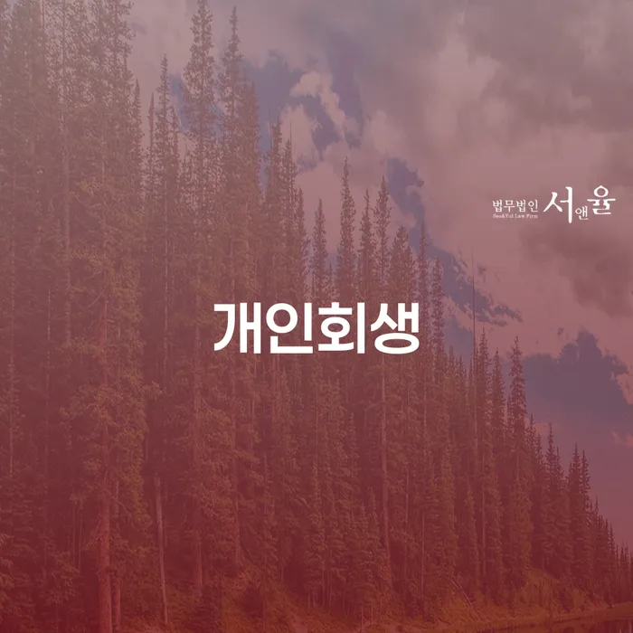 신월6동 개인회생 절차와 혜택