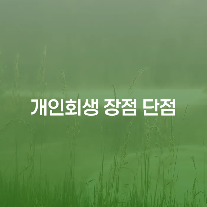 삼선동 개인회생 장점과 단점: 채무 해방을 위한 길잡이