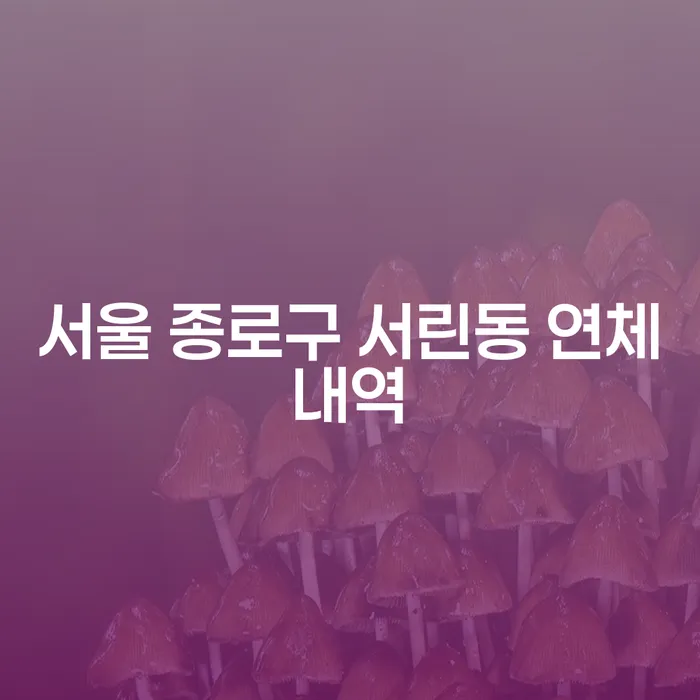 서울 종로구 서린동 연체내역, 어떻게 해결할 수 있을까요?