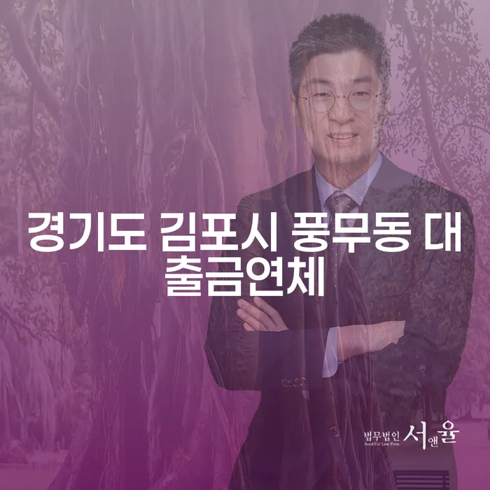 경기도 김포시 풍무동 대출금연체, 해결할 수 있는 방법은 무엇일까요?
