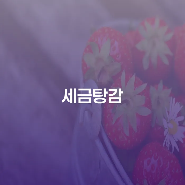 어떻게 세금탕감을 받고 개인회생 면책후 신용카드발급이 가능할까요?