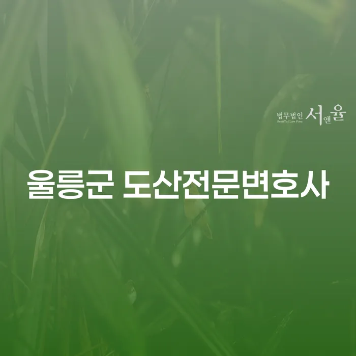 울릉군 도산전문변호사는 어떤 도움을 줄 수 있을까요?